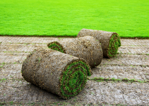 shutterstock_483867976